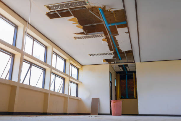 Best Ceiling water damage repair  in Beloit, KS