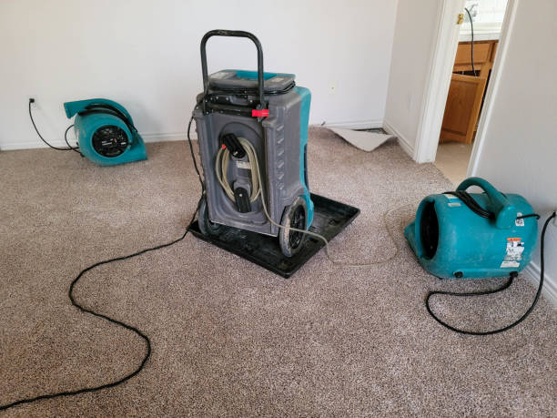 Best Carpet water damage restoration  in Beloit, KS