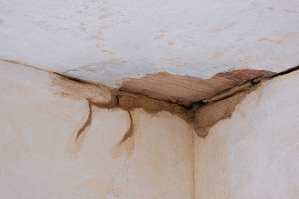 Best Basement water damage restoration  in Beloit, KS