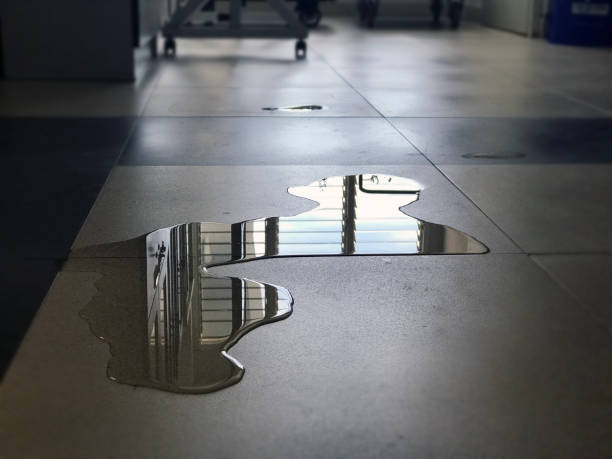 Best Water damage cleanup near me  in Beloit, KS