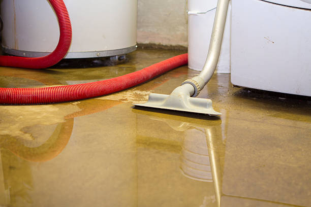 Best Water damage repair service  in Beloit, KS
