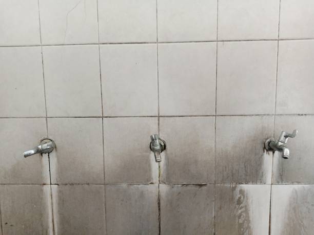 Best Flood damage cleanup  in Beloit, KS